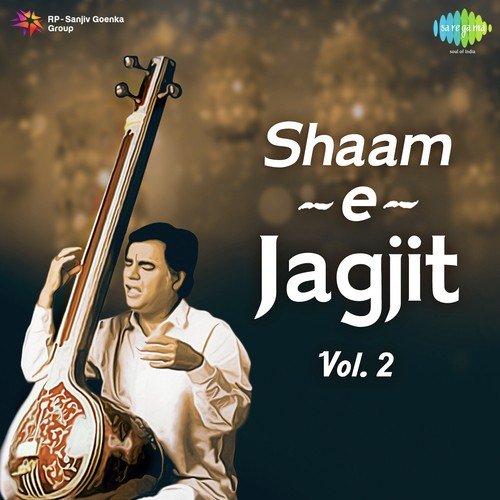 Tanha Tanha Hum Ro Lenge by Jagjit Singh, Chitra Singh - Download on PagalFree