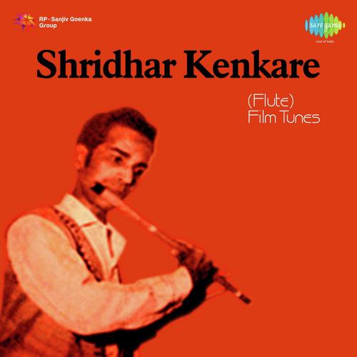 Tera Jana by Shridhar Kenkara - Download on PagalFree