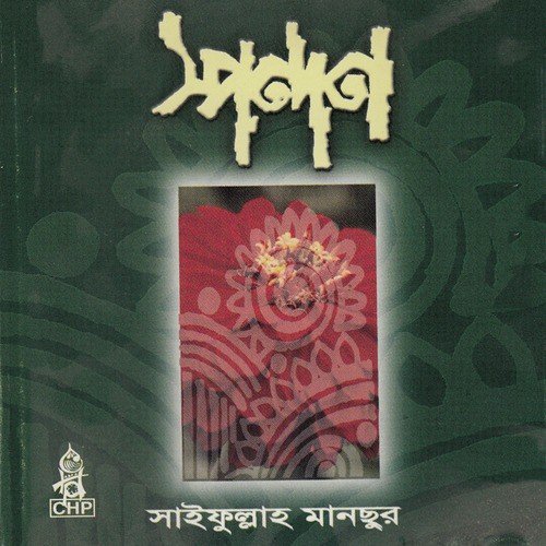 Prithibi Amar by Saifullah Mansur - Download on PagalFree