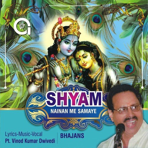 Naman Shat Shat by Pt. Vinod Kumar Dwivedi - Download on PagalFree