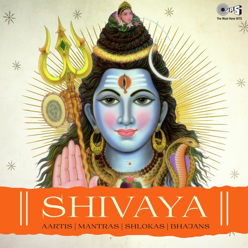 Om Shiv Om Shiv by Various Artists - Download on PagalFree