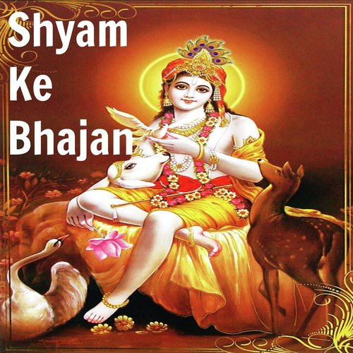 Sawaraji Baba Shyam by Pankaj Doshi - Download on PagalFree