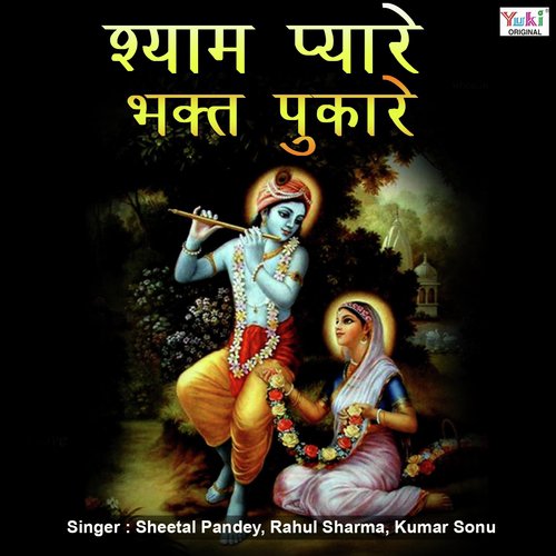 Dil Tujhe Dhundhta Hai by Sheetal Pandey, Rahul Sharma, Kumar Sonu - Download on PagalFree