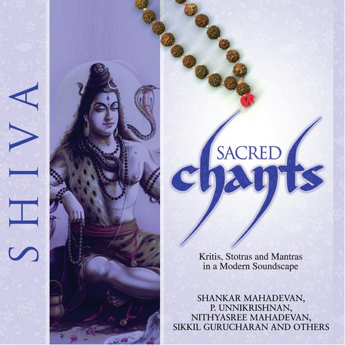 Shiv Aavahan - Om Namah Shivay by Various Artists - Download on PagalFree