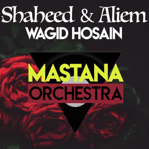 Dil Jo Bhi Kahega by Wagid Hosain amp Mastana Orchestra - Download on PagalFree