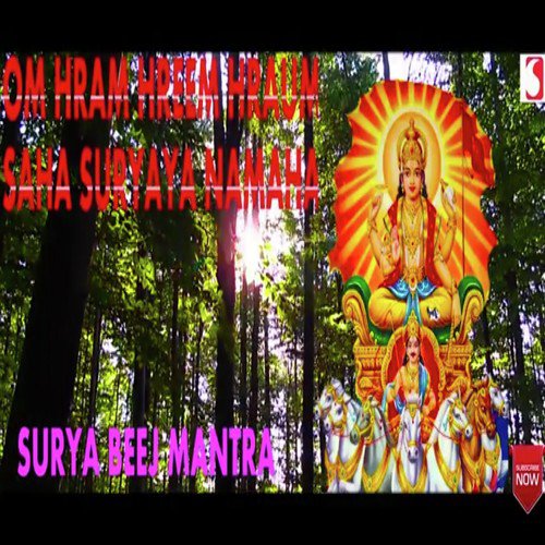 Surya Beej Mantra by Siddharth Shankar Shrivastav - Download on PagalFree