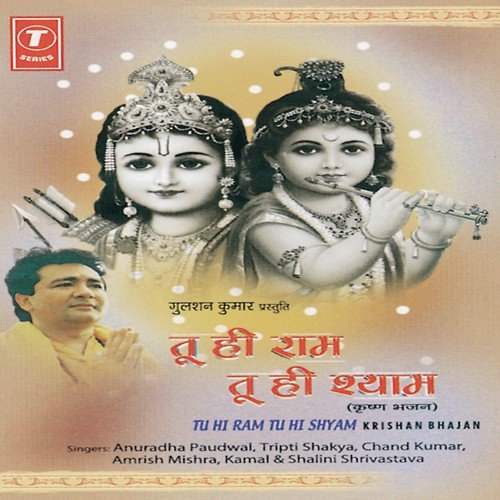 Hey Nandlala Yashoda Ke by Anuradha Paudwal, Shalini Shrivastav, Tripti Shakya, Chand Kumar, Amrish Mishra, Kamal Ahmed, Bhusha - Download on PagalFree