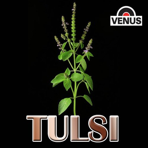 Jane Kya Hai Tujhme Aaisa by Hemlata, Ravindra Jain - Download on PagalFree