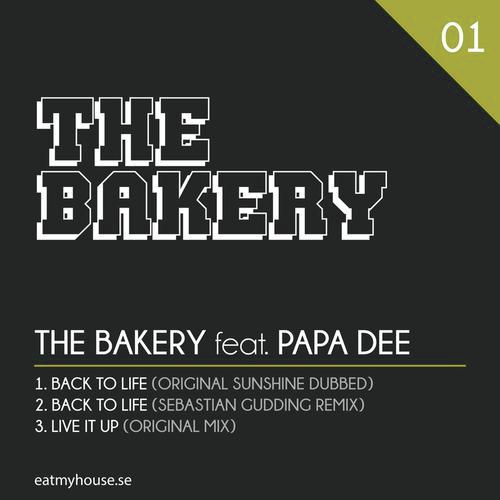 Back To Life (Sunshine) (Sebastian Gudding Remix) by The Bakery - Download on PagalFree