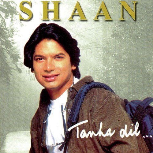 Tujh Sa Na Koi by Shaan - Download on PagalFree