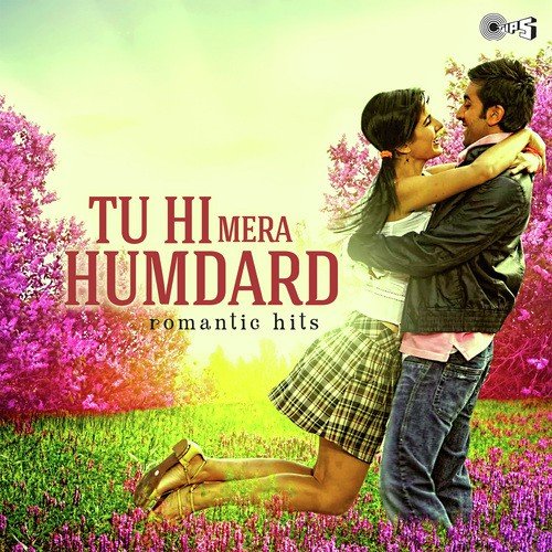Dil Hai Tumhaara (From Dil Hai Tumhaara) by Vivek Philip - Download on PagalFree