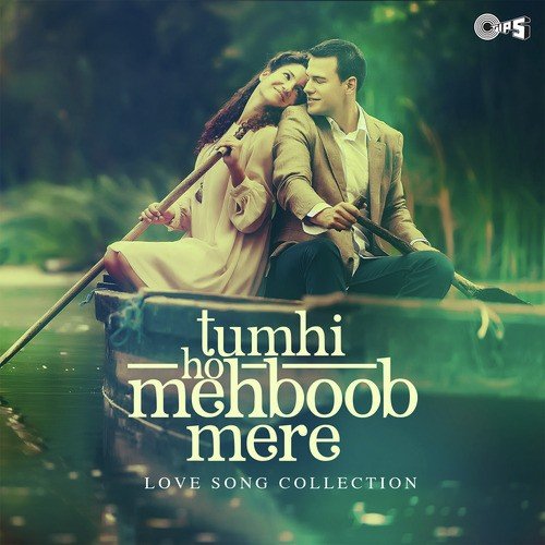 Tumko Dekha Toh (From Hamara Dil Aapke Paas Hai) by Rajan-Arvind - Download on PagalFree
