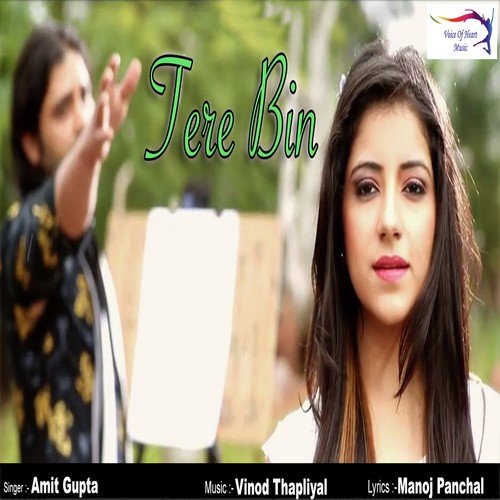 Tere Bin by Amit Gupta - Download on PagalFree