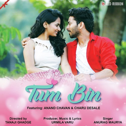 Tum Bin by Anurag Maurya - Download on PagalFree