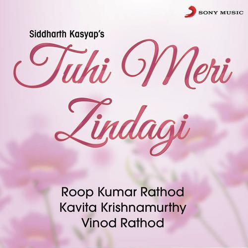 Pyar Ki Woh Dastaan by Kavita Krishnamurthy, Vinod Rathod, Roopkumar Rathod - Download on PagalFree