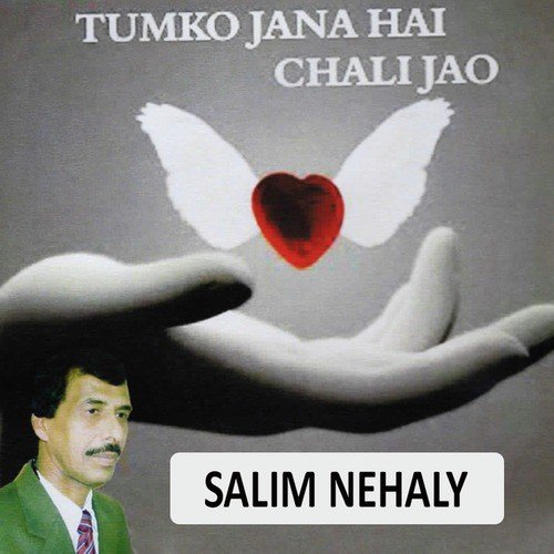 Phool Si Kalaai Mein by Salim Nehaly - Download on PagalFree