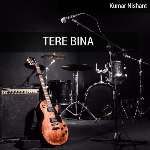 Tere Bina by Kumar Nishant - Download on PagalFree