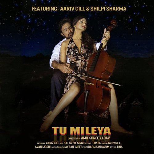 Tu Mileya by Aariv Gill - Download on PagalFree