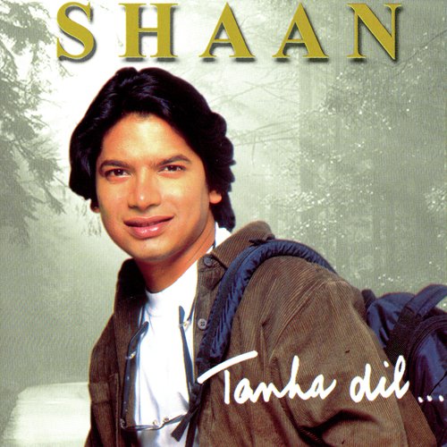 Tujh Sa Na Koi by Shaan - Download on PagalFree