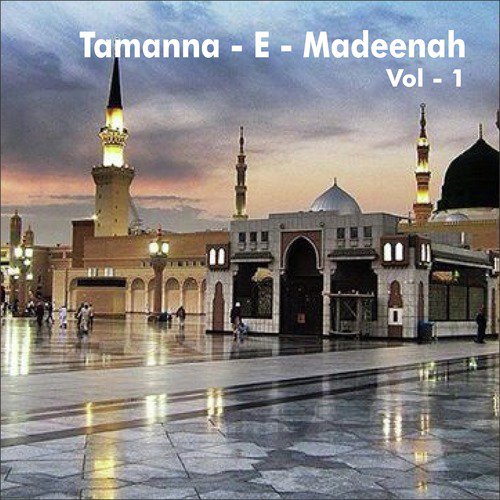 Salle Ala Pukaro by Raza Qadri - Download on PagalFree