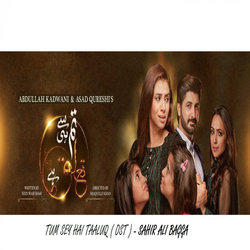 Tum Se Hi Taluq Hai - Ost by Sahir Ali Bagga - Download on PagalFree