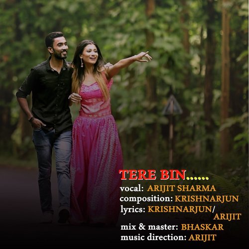 Tere Bin by Arijit Sharma, KRISHNARJUN, Karishma, Rajib - Download on PagalFree