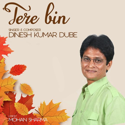 Tere Bin by Dinesh Kumar Dube - Download on PagalFree