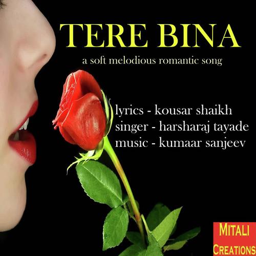 Tere Bina by Harsharaj Tayade - Download on PagalFree