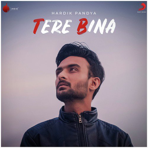 Tere Bina by Hardik Pandya - Download on PagalFree