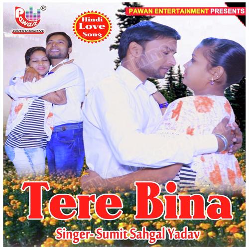 Tere Bina by Sumit Sahgal Yadav - Download on PagalFree