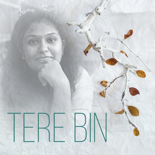 Tere Bin Kaise Jiyaan by Vishal Kumar(LATX) - Download on PagalFree