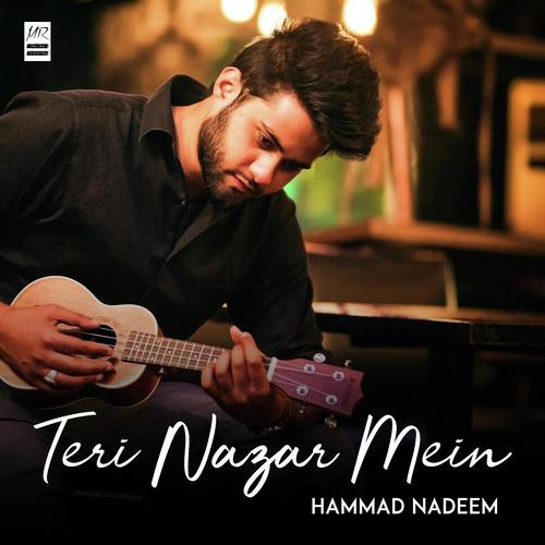 Teri Nazar Mein by Hammad Nadeem - Download on PagalFree