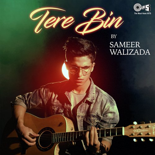 Tere Bin By Sameer Walizada by Sameer Walizada - Download on PagalFree