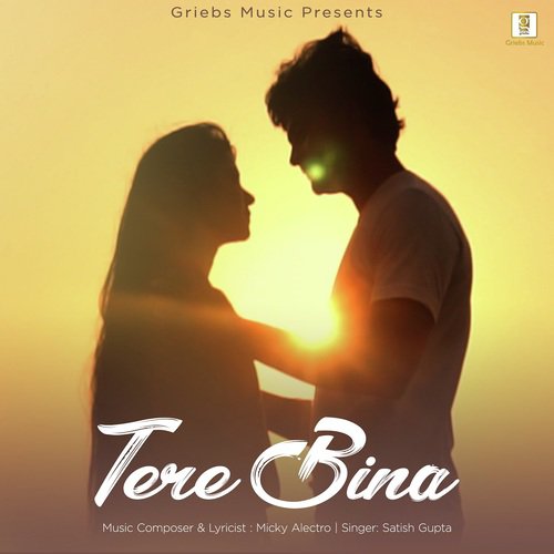Tere Bina by Shashi Gupta - Download on PagalFree