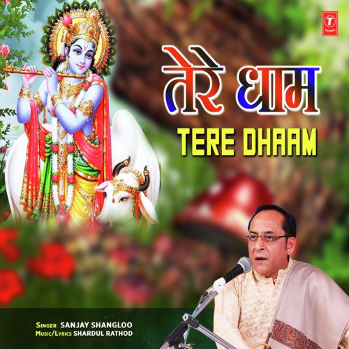 Tere Dhaam by Sanjay Shangloo - Download on PagalFree