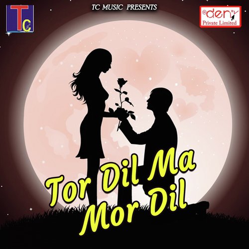 Mor Dil Ma O Te Raheja by Various Artists - Download on PagalFree