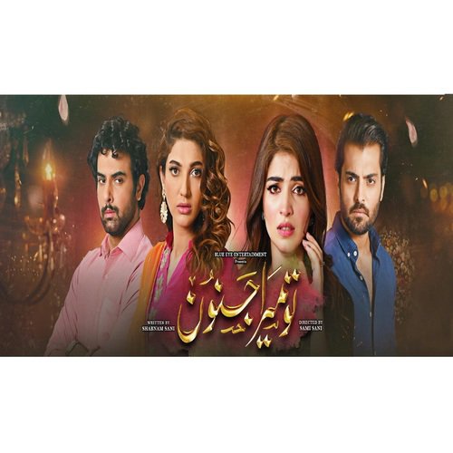 Tu Mera Junoon OST by Sahir Ali Bagga - Download on PagalFree