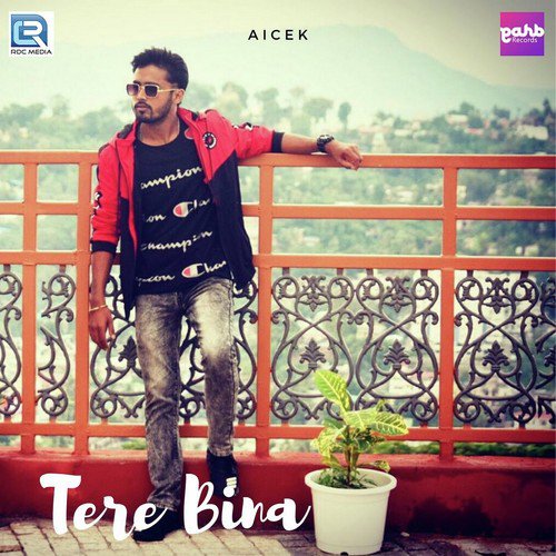 Tere Bina by Aicek - Download on PagalFree
