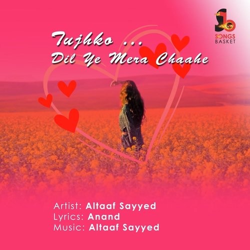 Tujhko Dil Ye Mera Chaahe by Altaaf Sayyed - Download on PagalFree