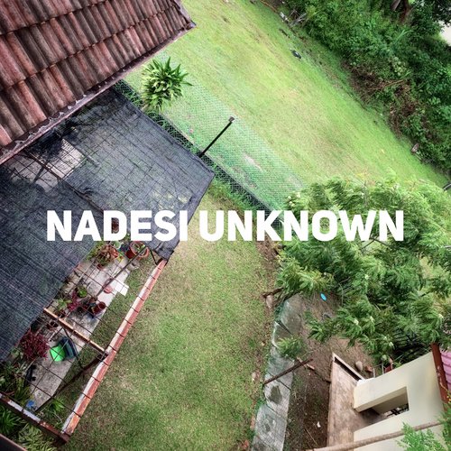 Reality by Nadesi - Download on PagalFree