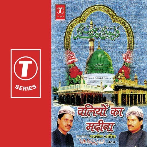 Sultan Ka Mela Aata Hai by Aarif Khan, Haji Tasleem Aarif, Allwin Brown - Download on PagalFree