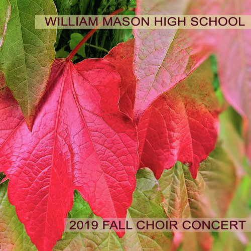 Munoera by Various Artists - Download on PagalFree