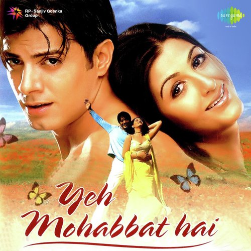 Yeh Dil Deewana Hai by Anand Raj Anand - Download on PagalFree