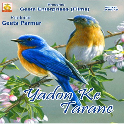 Pal Pal by Nitesh Raj, Anjani Shrivastava - Download on PagalFree