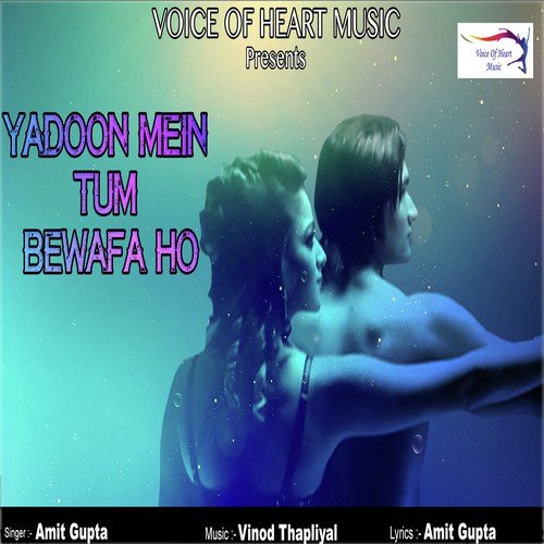 Yadoon Mein Tum Bewafa Ho by Amit Gupta - Download on PagalFree