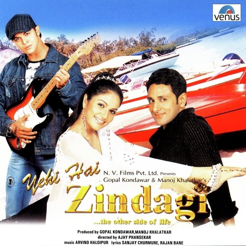 Zindagi Yehi Hai Zindagi by Arvind Haldipur - Download on PagalFree