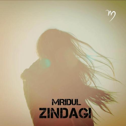Zindagi by Apurav Mridul - Download on PagalFree