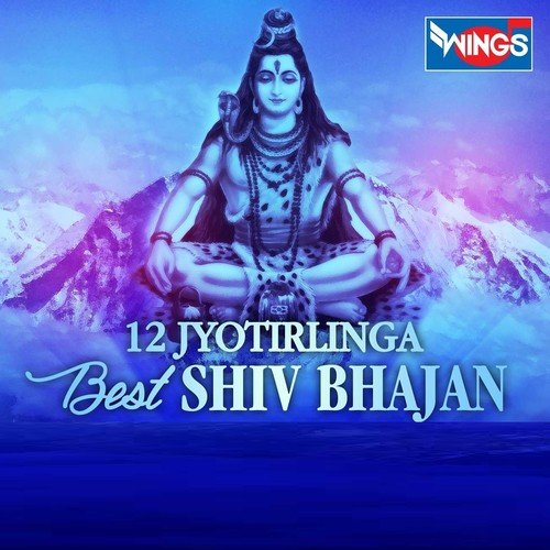 Om Namah Shivaya - 1 by Anup Jalota - Download on PagalFree