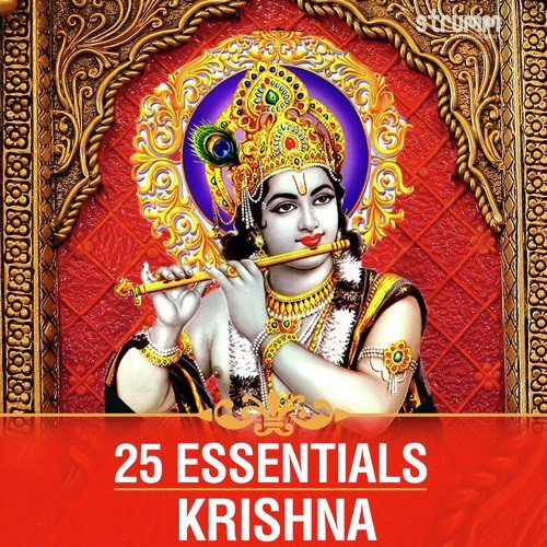 Bhaja Govindam by Bickram Ghosh - Download on PagalFree