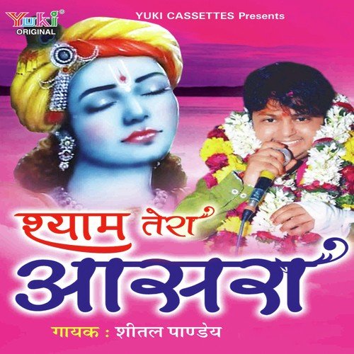 Hame Shyam Aasra Tera Hai by Rakesh Singh - Download on PagalFree
